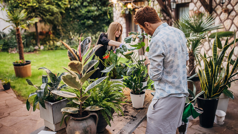 couple working in patio garden