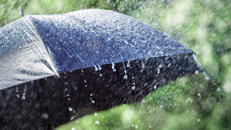 Water dripping off an umbrella