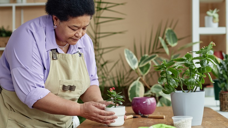 woman tending to houseplant