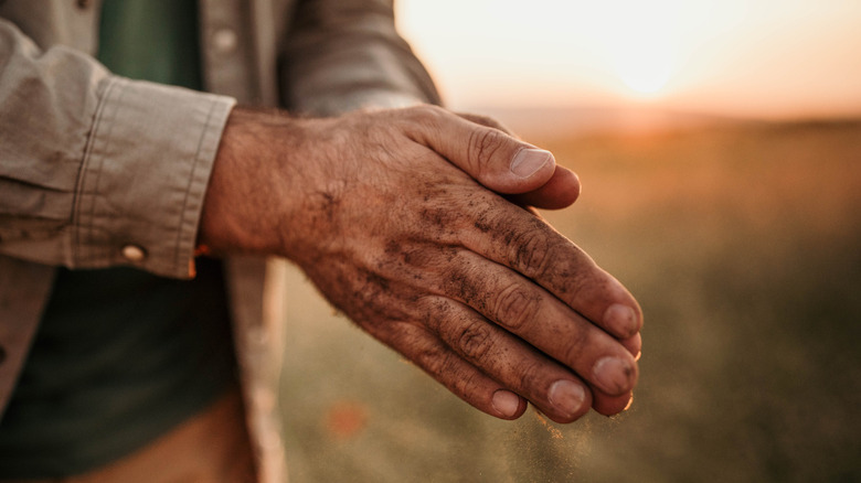 closeup of a man's dirty hands together