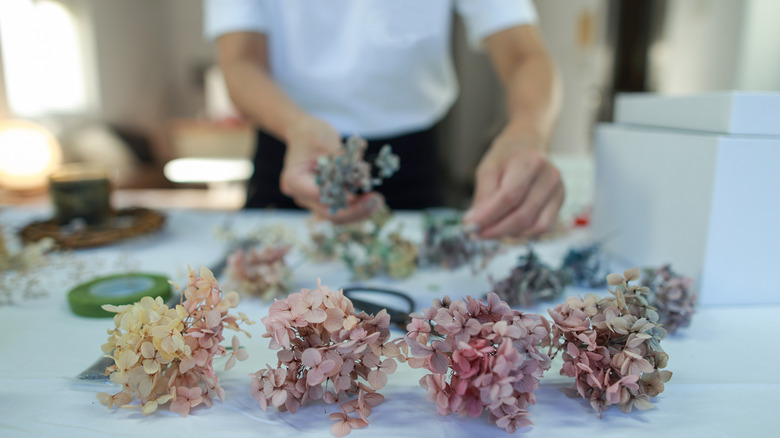 Person gets ready to dry hydrangeas for a pressed flower lampshade