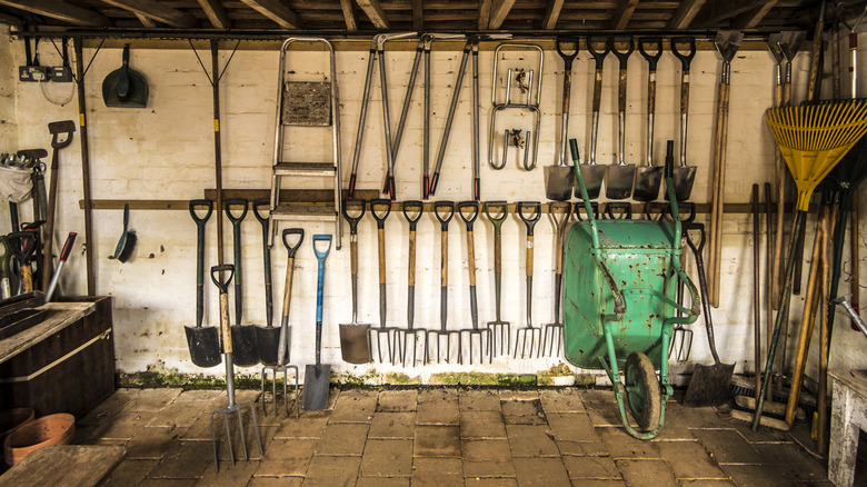 Gardening tools in a shed