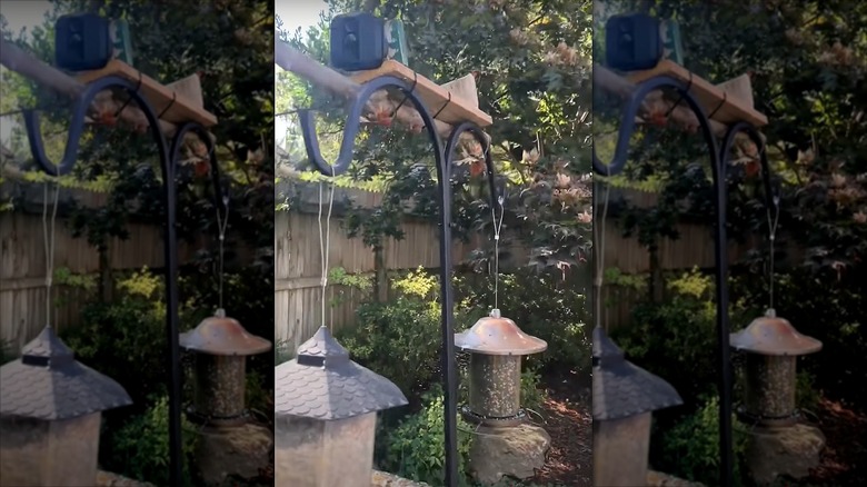 A bird feeder setup using a security camera