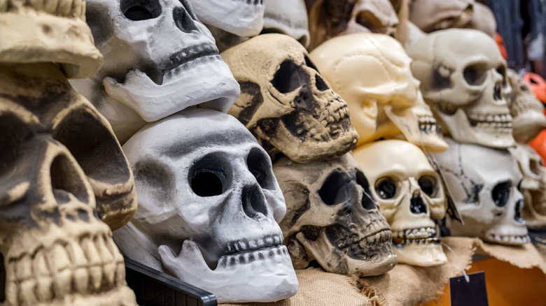 Bone wall DIY made up of Dollar Tree bones and skulls