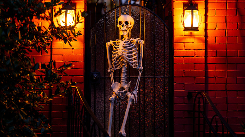 Plastic Halloween skeleton hung on front gate