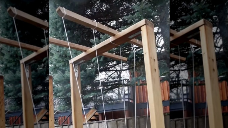 A wooden tomato trellis with a cross-bar system for strings.