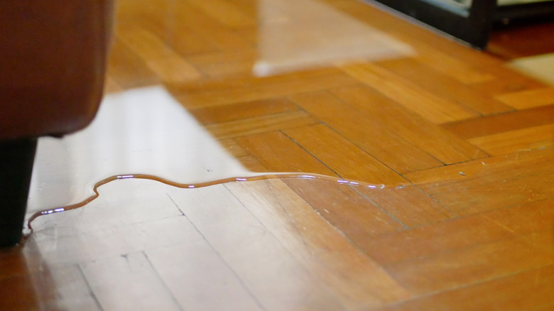 Water spill on a wood floor