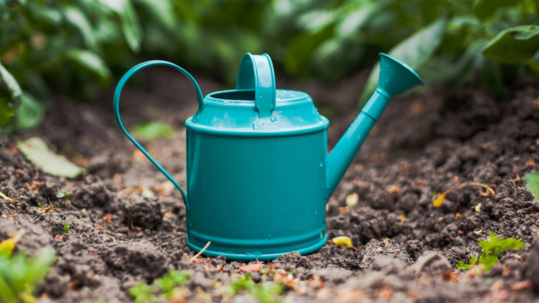 blue metal watering can on ground