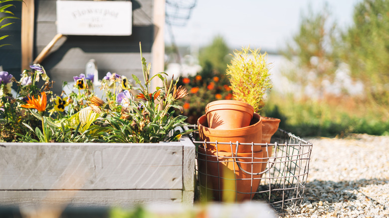 wooden box with flowers in a garden