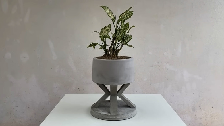 Concrete planter with angled legs and a plant on a table in front of a grey wall