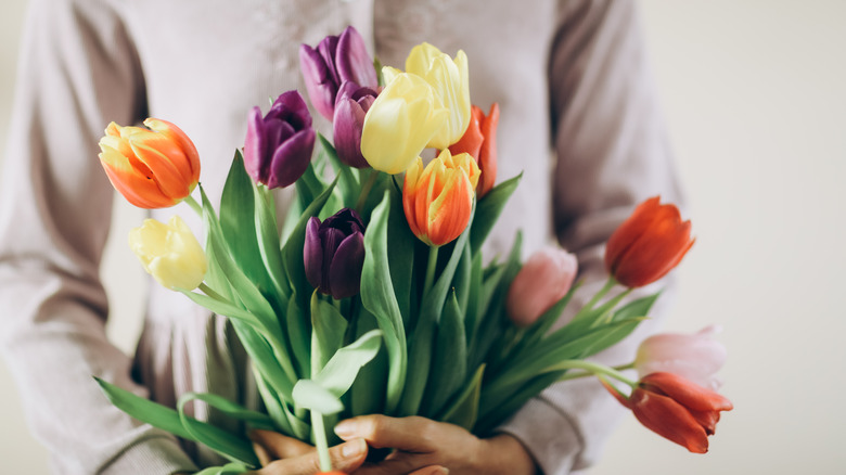 person holding a loose bunch of tulips