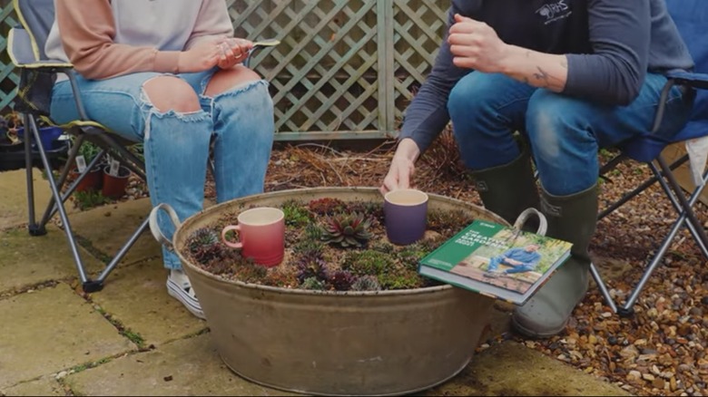 People sitting by succulent table