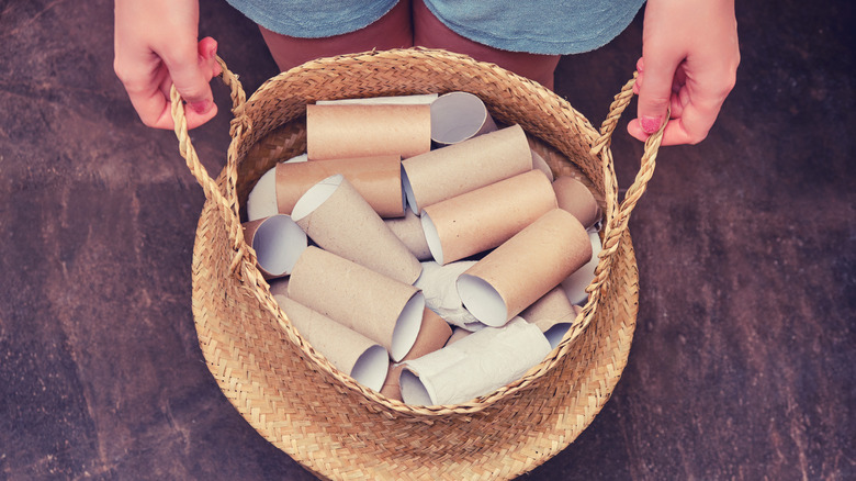 Person holding a belly basket fill of empty toilet paper rolls