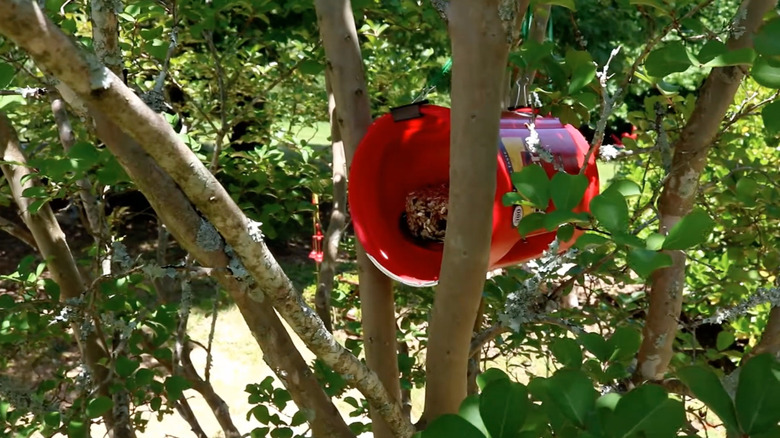 coffee tub as bird feeder