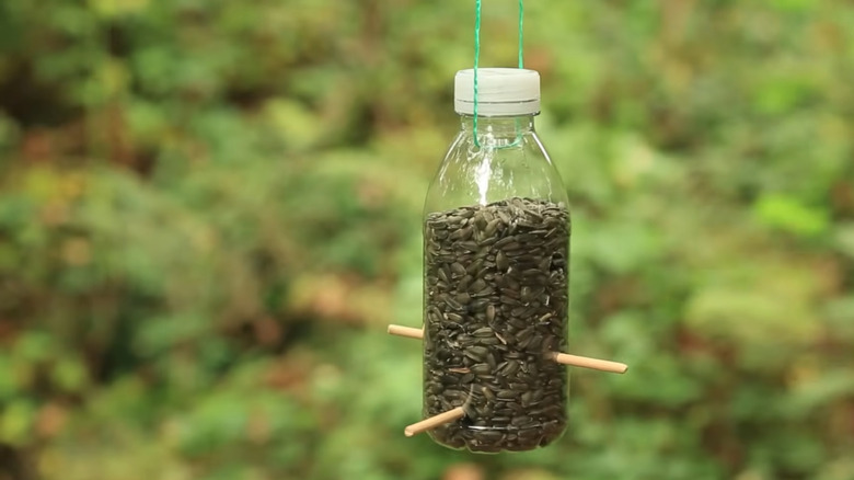 bird feeder from plastic bottle