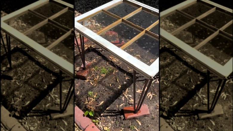 Birdbath made from a repurposed window