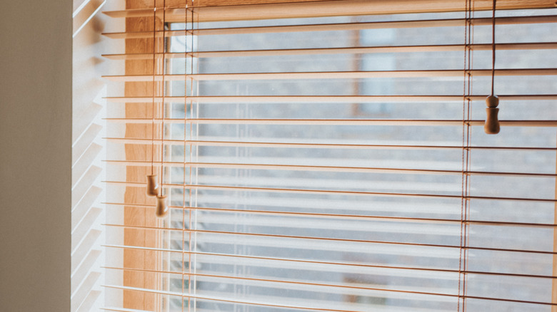 Window blinds