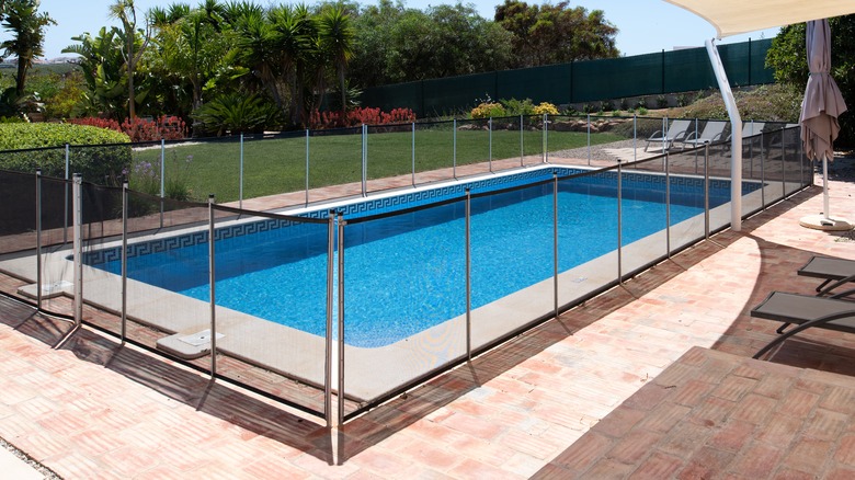 Fenced in swimming pool