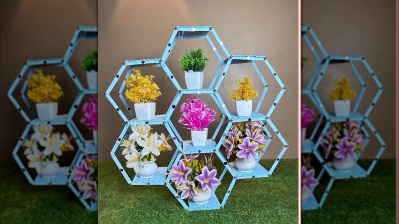 A DIY popsicle stick shelf painted light blue with seven hexagonal shelves in a honeycomb shape topped with plants