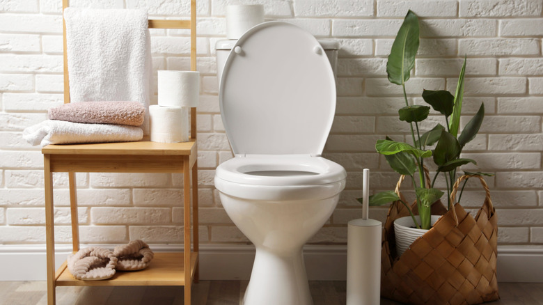 White toilet
