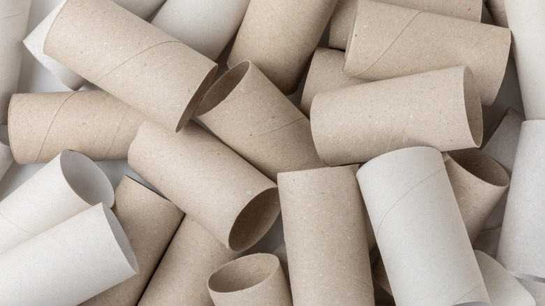 A stack of toilet paper tubes