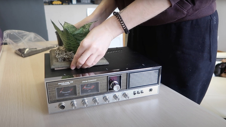 person making vintage radio planter
