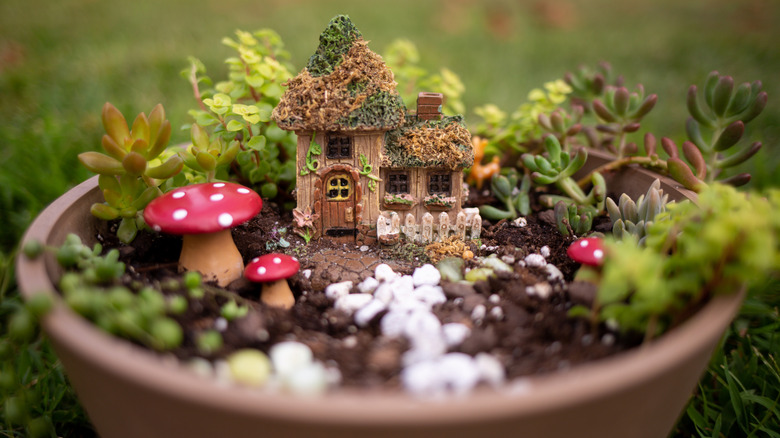 fairy garden in a container with a small house, mushrooms, a white pebble path and small succulents
