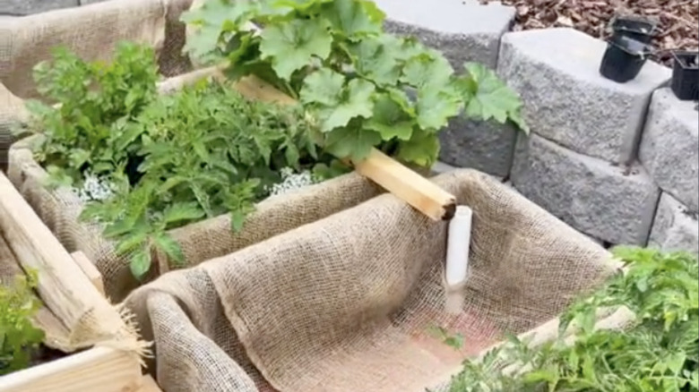 Building a self-watering planter