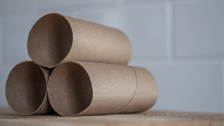 stacked cardboard toilet paper rolls