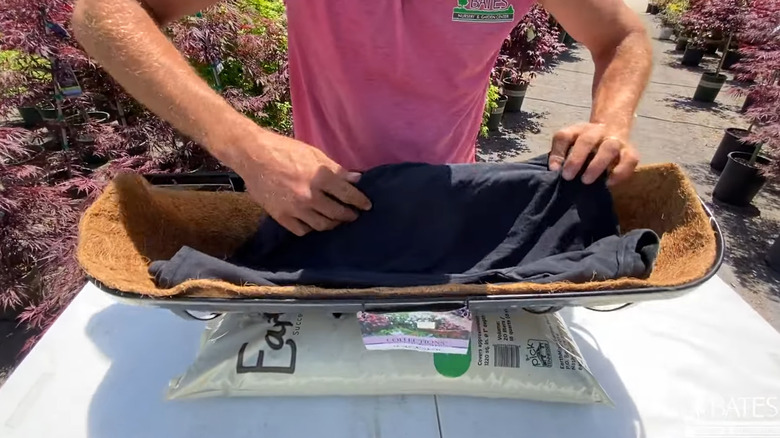 Nursery employee placing a folded black T-shirt in the bottom of a coir-lined planter
