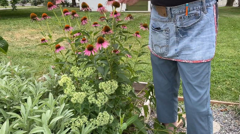 Person wearing a denim gardening apron while tending to flowers
