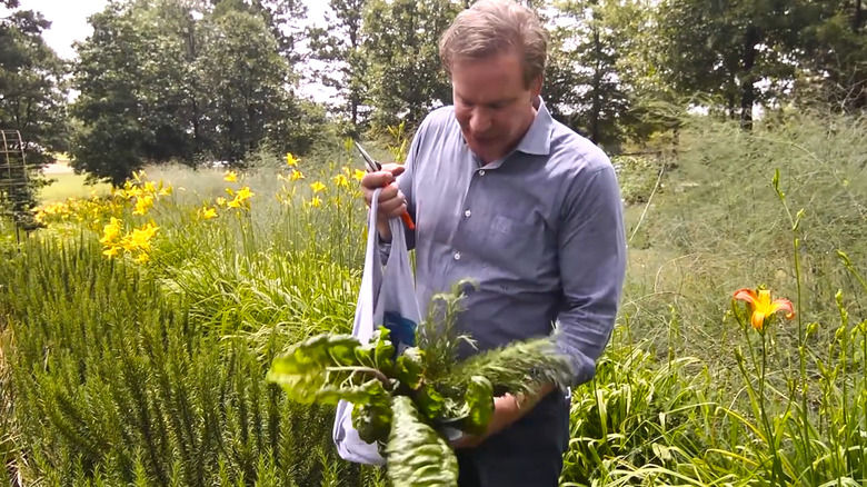 Man gathering a harvest in a bag made from an old T-shirt
