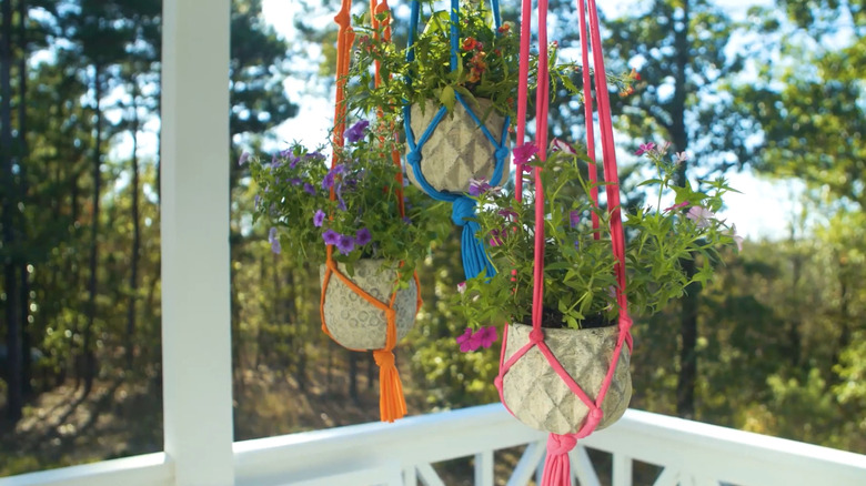 Three potted plants hanging from colorful T-shirt macrame-style plant holders on a deck with trees in the background