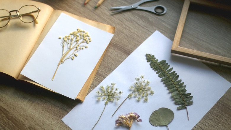 old book with pressed flowers on it with scissors, frames, and pencils lying around