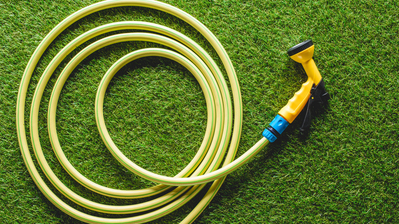 garden hose