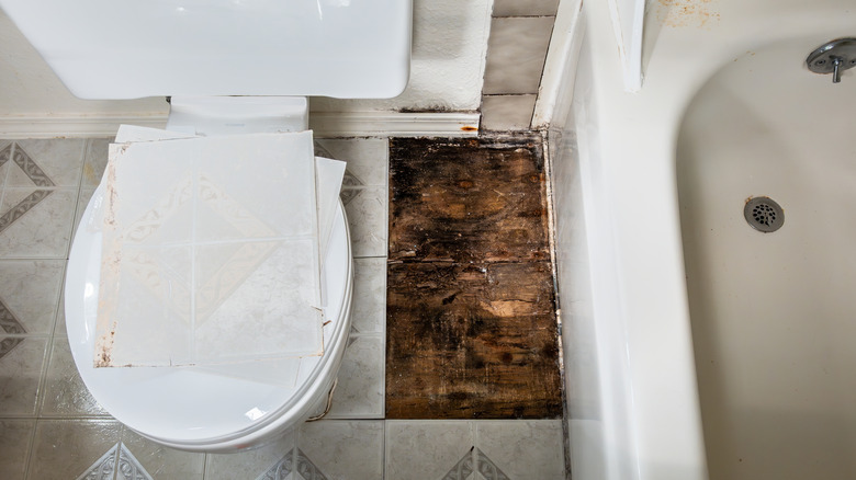 Moldy wood under tiles in a bathroom between a toilet and a tub