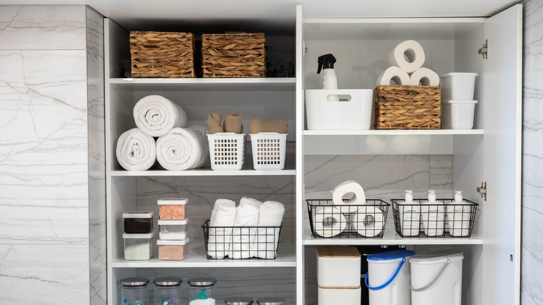 A bathroom storage cabinet with a built-in look