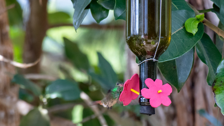 Wine bottle hummingbird feeder