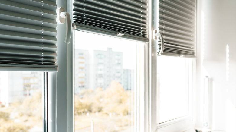 Blackout shades on windows