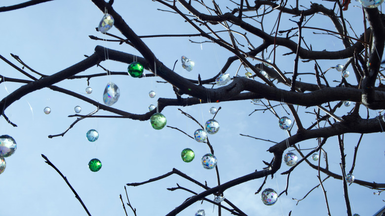 Hanging crystal suncatchers in a tree