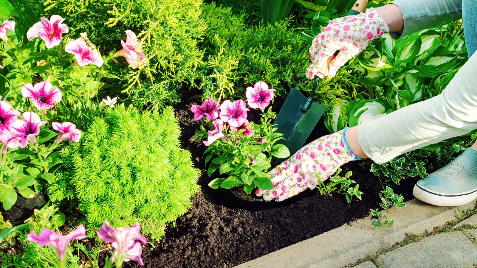 Do Gardens Increase The Value Of Your Home?