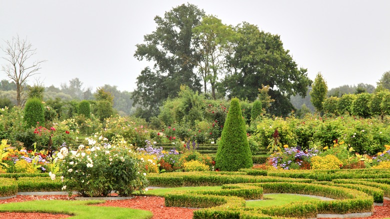 Large landscaped garden