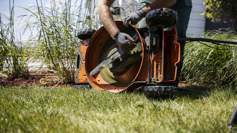 A person adjusting a lawn mower blade outdoors