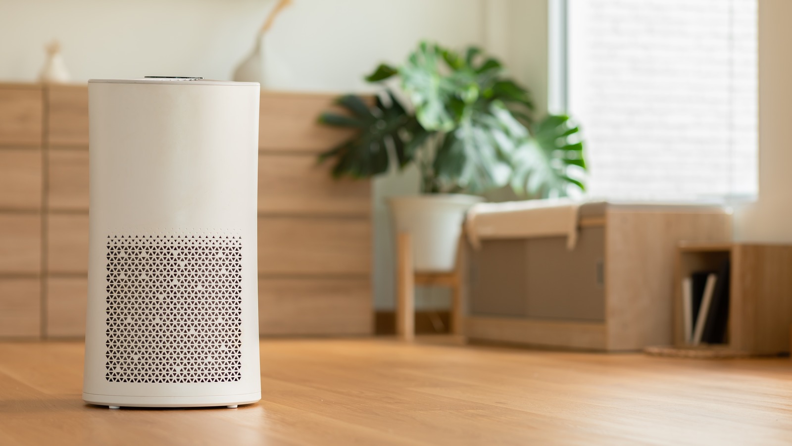 Do HEPA Filters Actually Work?