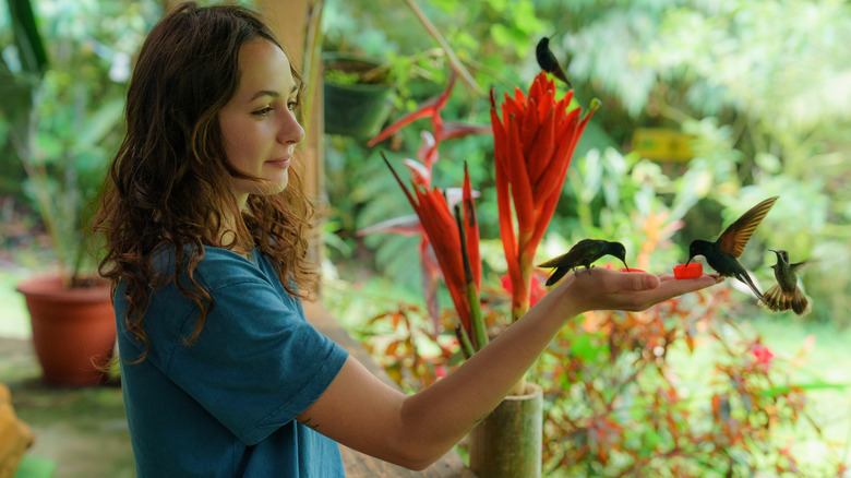 Woman feeding hummingbirds out of a handheld feeder
