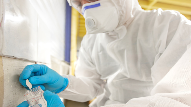 A man taking a sample of wall for an asbestos test for analysis