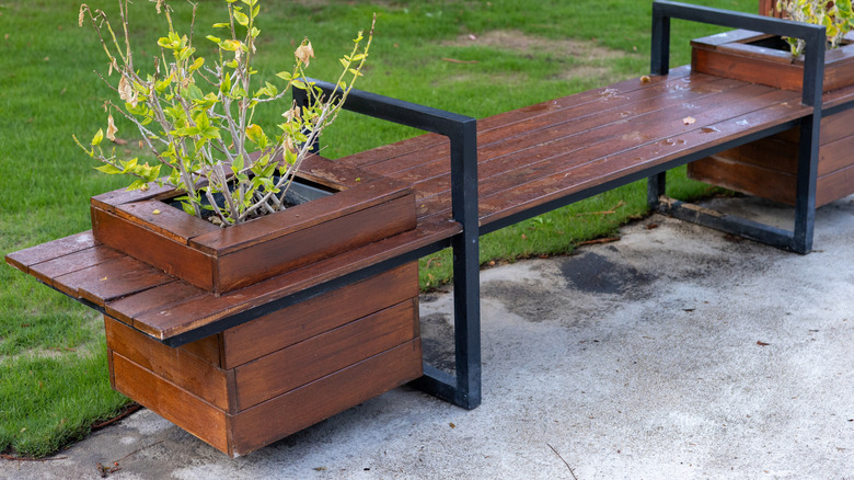 An outdoor bench with plants that are not doing well