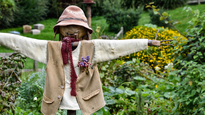 A scarecrow in a garden
