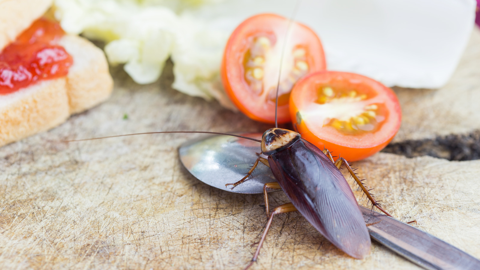 Do Scented Trash Bags Deter Roaches From Your Kitchen Trashcan?
