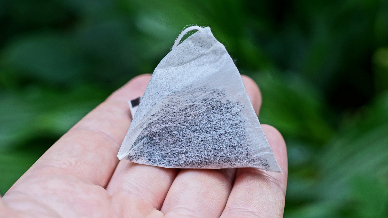 Do Teabags Prevent Weeds From Growing In Your Garden? Here's What Our